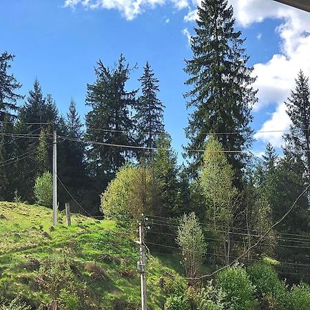 Садиба "Яна" Slavske Εξωτερικό φωτογραφία
