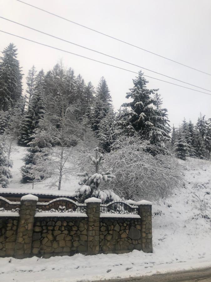 Садиба "Яна" Slavske Εξωτερικό φωτογραφία